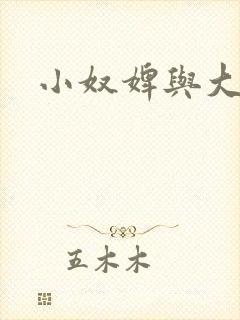 小奴婢与大少爷