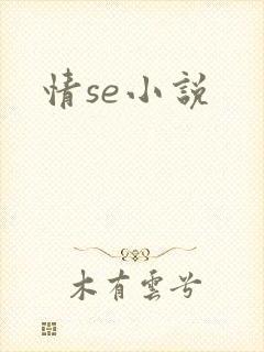 情se小说