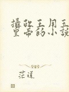 摄政王用玉髓整皇帝的小说