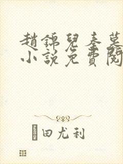 赵锦儿秦慕修的小说免费阅读全文