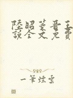 陆昭菱晋王的小说全文免费阅读