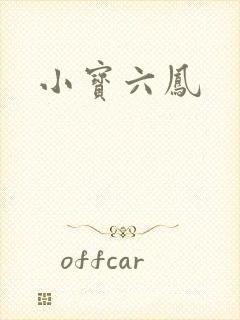 小宝六凤