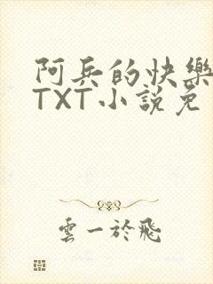 阿兵的快乐生活TXT小说免费阅读全章