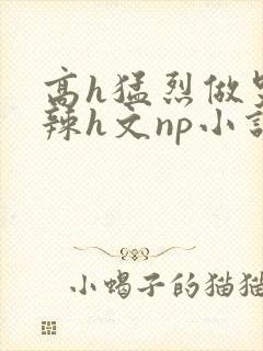 高h猛烈做哭高辣h文np小说