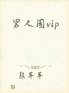男人团vip