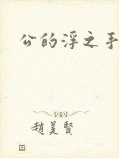 公的浮之手中字