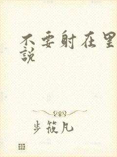 不要射在里面小说