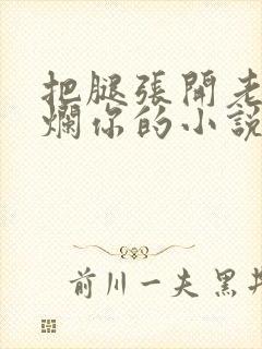 把腿张开老子臊烂你的小说