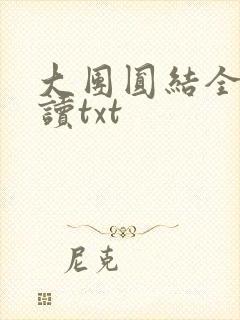 大团圆结全文阅读txt