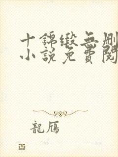 十锦缎无删原著小说免费阅读