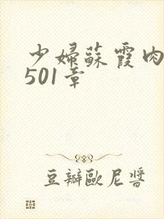 少妇苏霞肉欲第501章