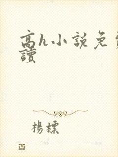 高h小说免费阅读