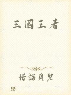 三国王者