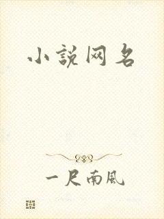 小说网名