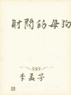 财阀的母狗们