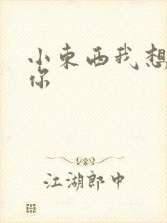 小东西我想弄坏你