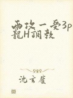 两攻一受3p双龙H调教