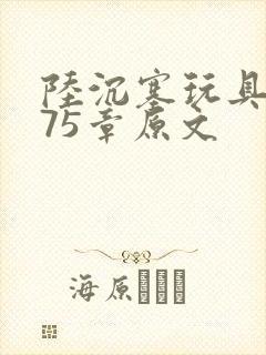 陆沉塞玩具高速75章原文