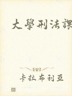 大学刑法课