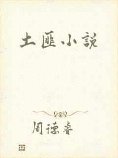土匪小说