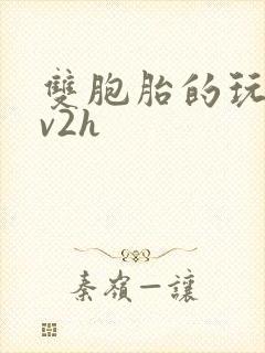 双胞胎的玩具1v2h