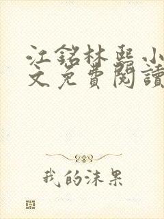 江铭林熙小说全文免费阅读