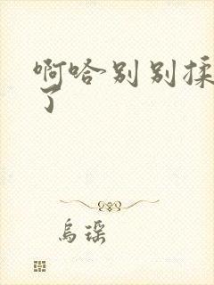 啊哈别别揉那处了