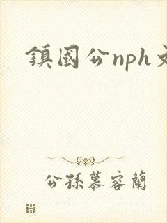 镇国公nph文