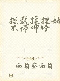 总裁揉捏她两乳不停呻吟