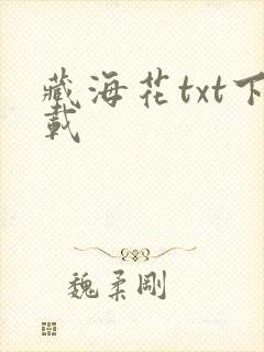 藏海花txt下载