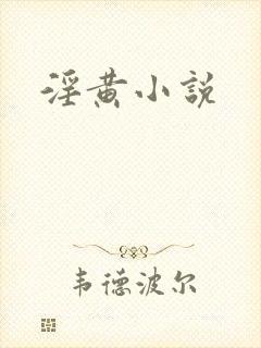 淫黄小说