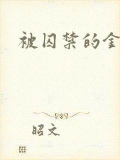 被囚禁的金丝雀