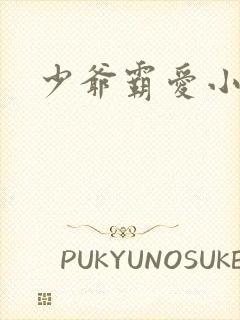 少爷霸爱小丫头