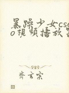 暴躁少女csgo视频播放器推荐