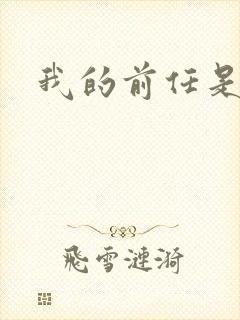 我的前任是极品