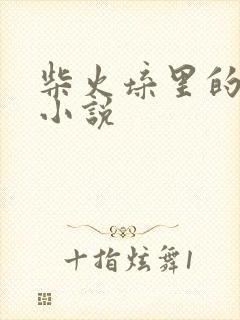 柴火垛里的疯狂小说