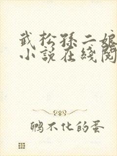 武松孙二娘云雨小说在线阅读