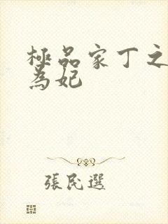 极品家丁之册母为妃