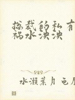 总裁的私有宝贝祸水泱泱