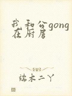我和公gong在厨房