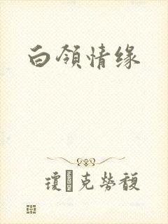 白领情缘