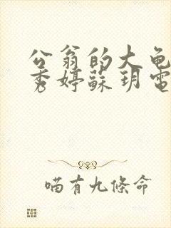 公翁的大龟挺进秀婷苏玥电影