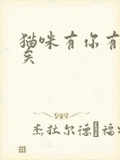 猫咪有你有我足矣