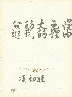 公的大龟慢慢挺进我的体内视频