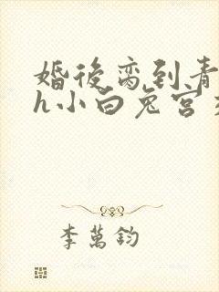 婚后脔到青梅哭h小白兔宫交h