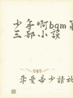 少年啊bgm第三部小说