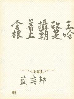 含着摄政王的紫根上朝是啥小说