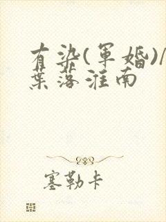 有染(军婚)/叶落淮南