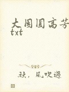 大团圆高芳小说txt