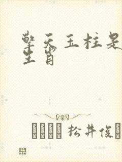 擎天玉柱是什么生肖